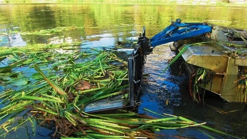 В деревне Люберец в 2023 году проведут очистку пруда