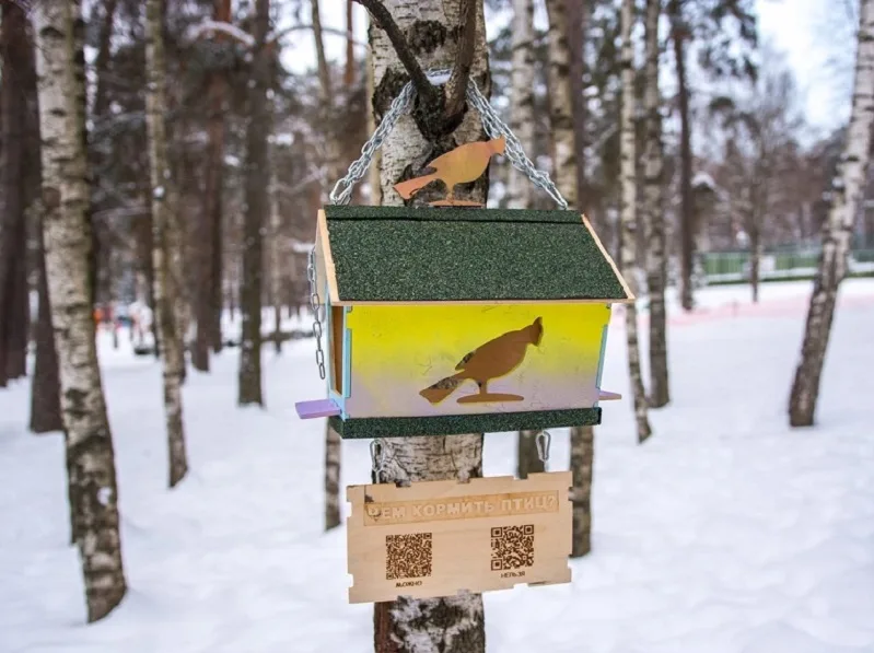 Жителей Люберец приглашают поучаствовать в интернет-конкурсе птичьих кормушек с 12 ноября