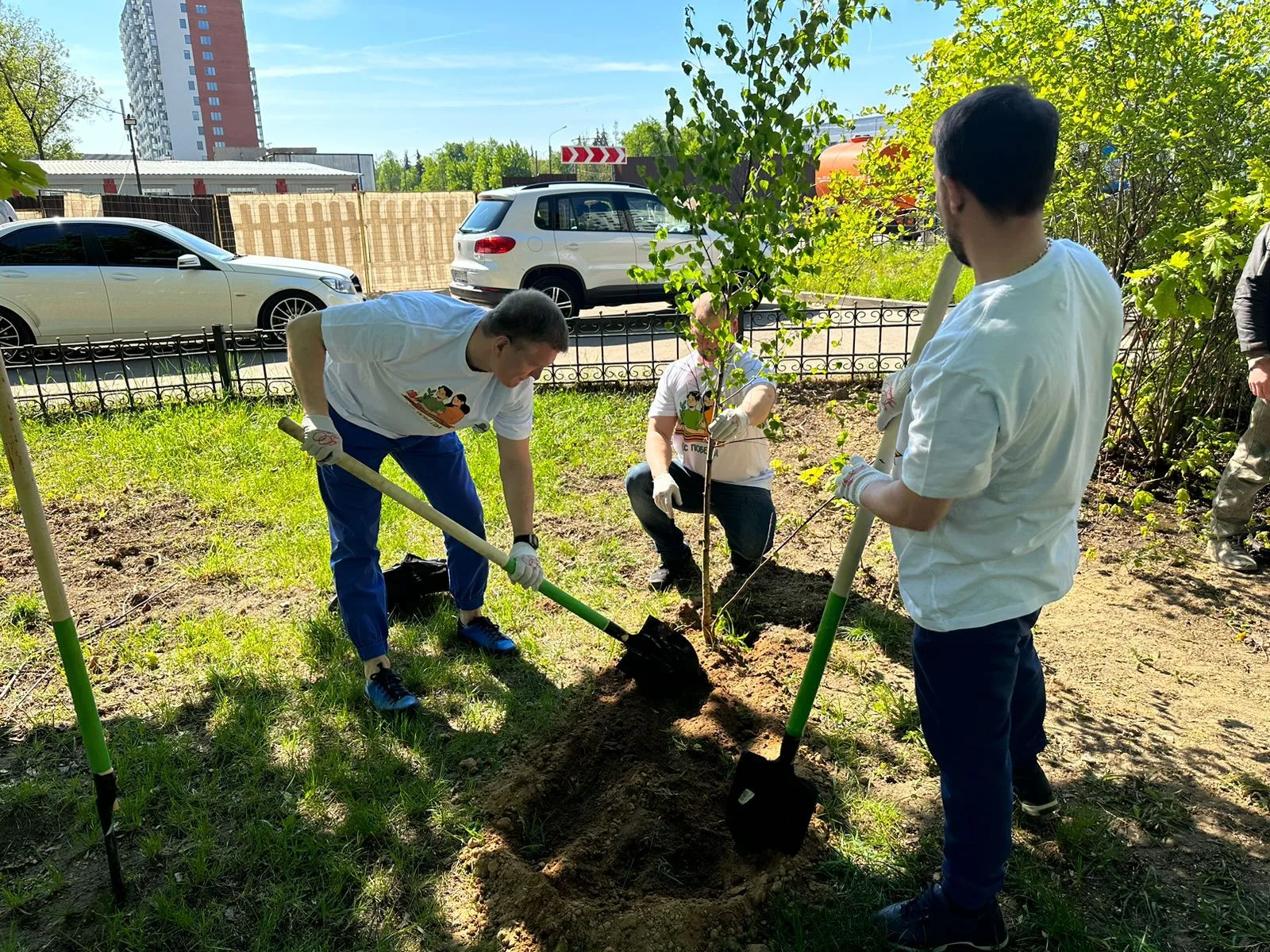 Партийцы Люберец присоединились к акции «Лес Победы»