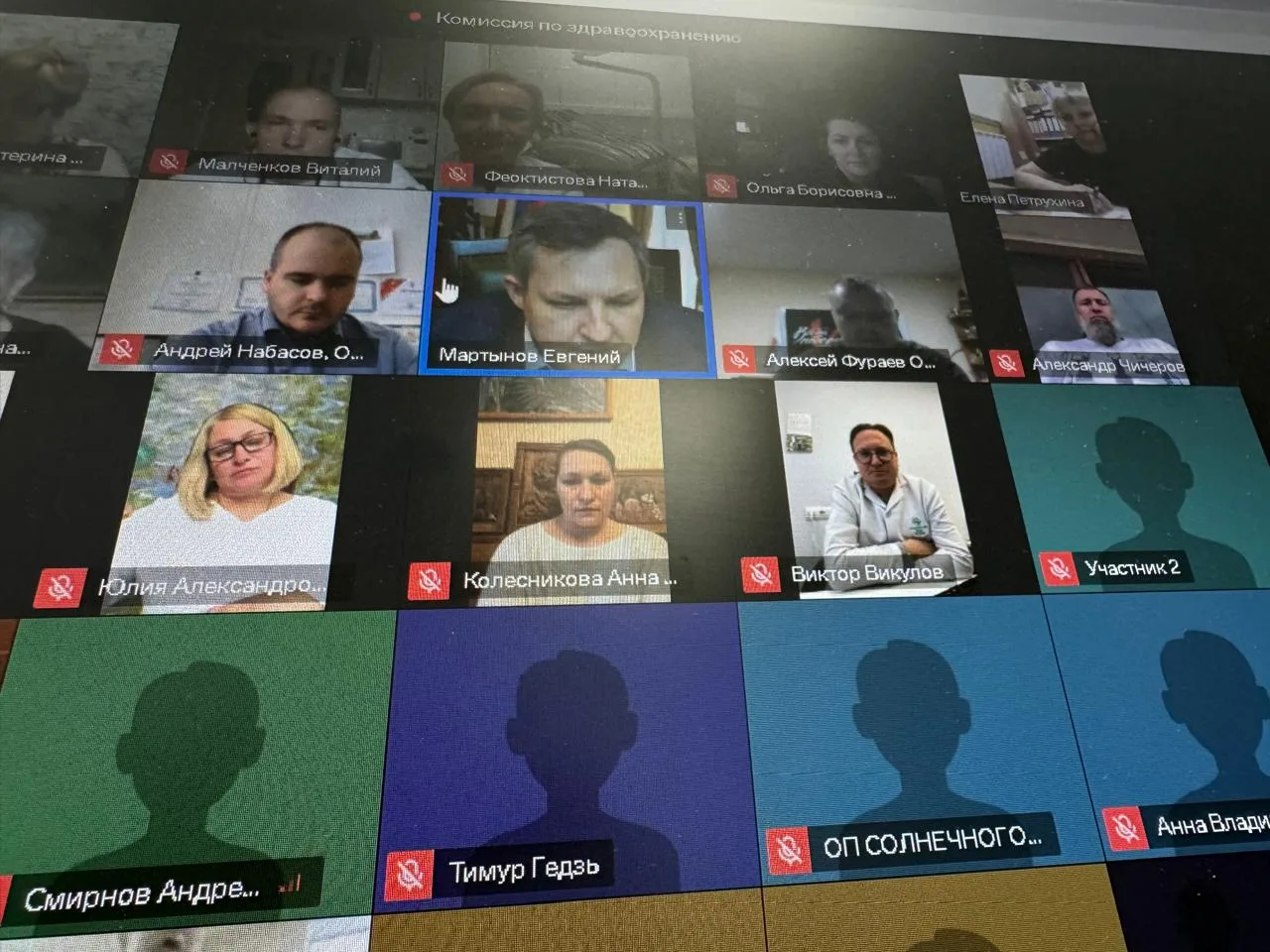 Онлайн-заседание Комиссии по здравоохранению Общественной палаты Московской области