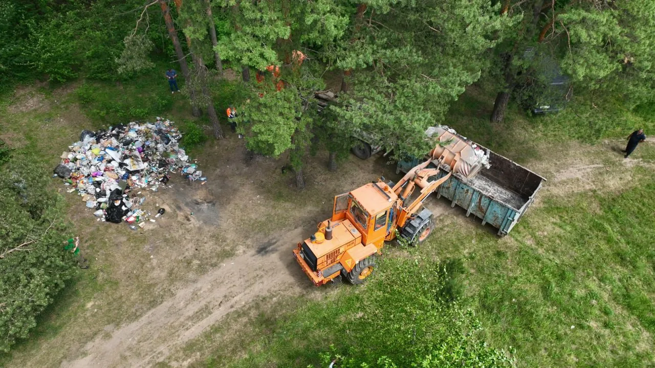 Свалку мусора ликвидировали в Томилинском лесопарке