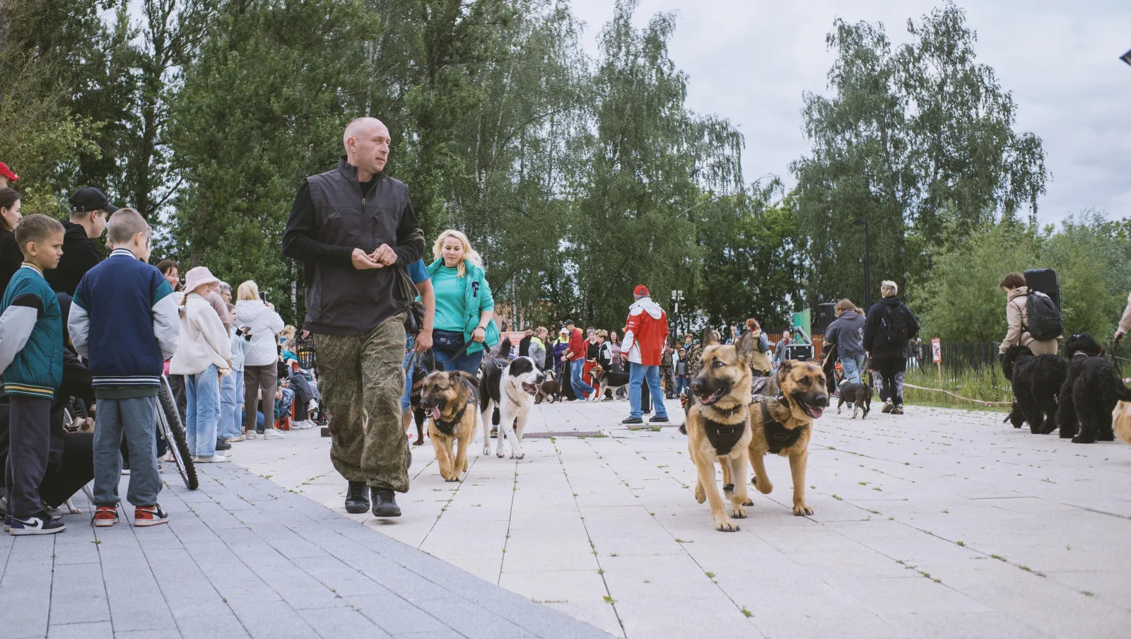 Партийцы организовали площадку на благотворительном фестивале в Люберцах