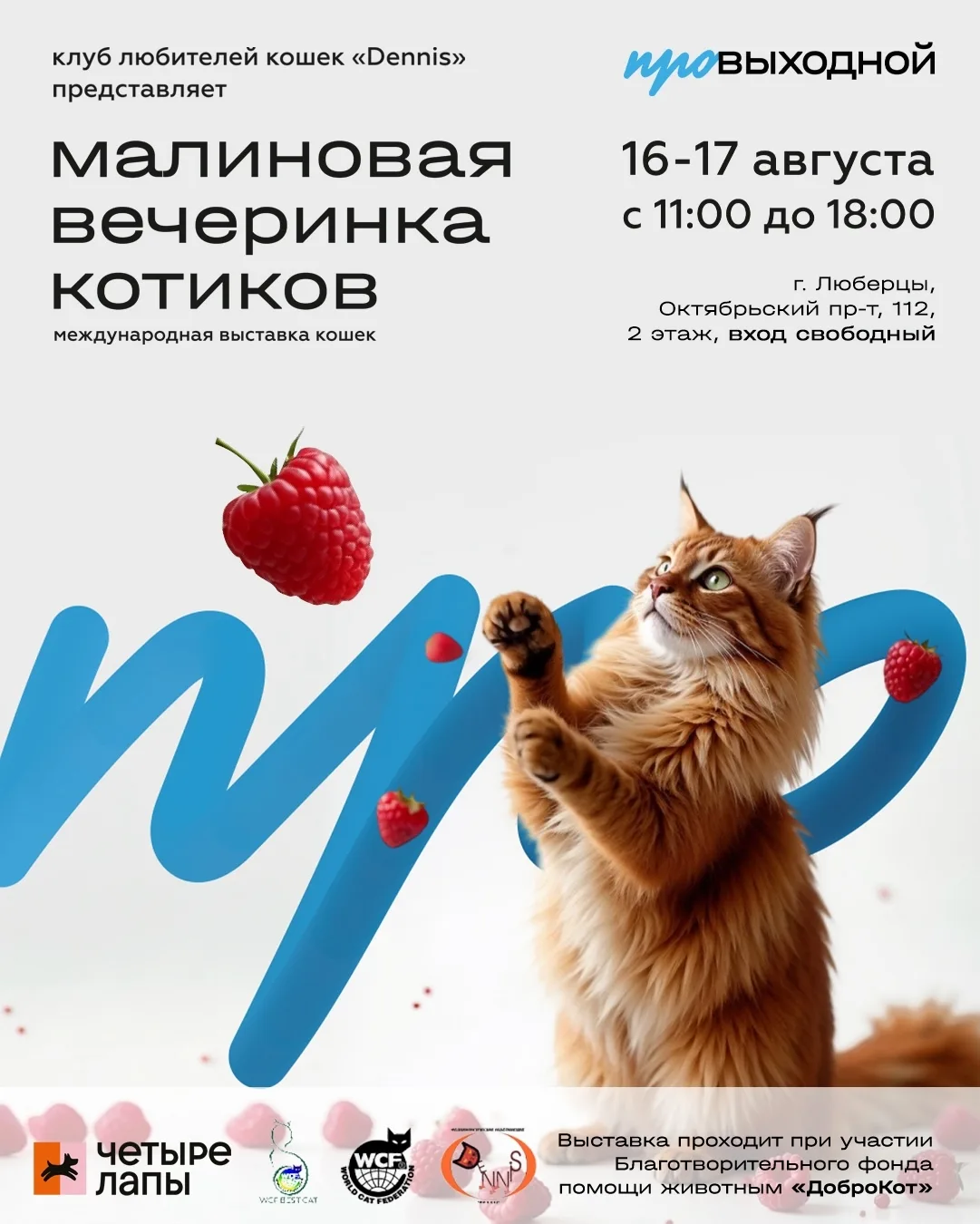 Международная выставка кошек пройдет в Люберцах