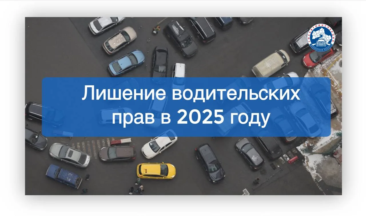 Водителям Люберец напомнили о последствиях лишения водительских прав и порядке их возврата