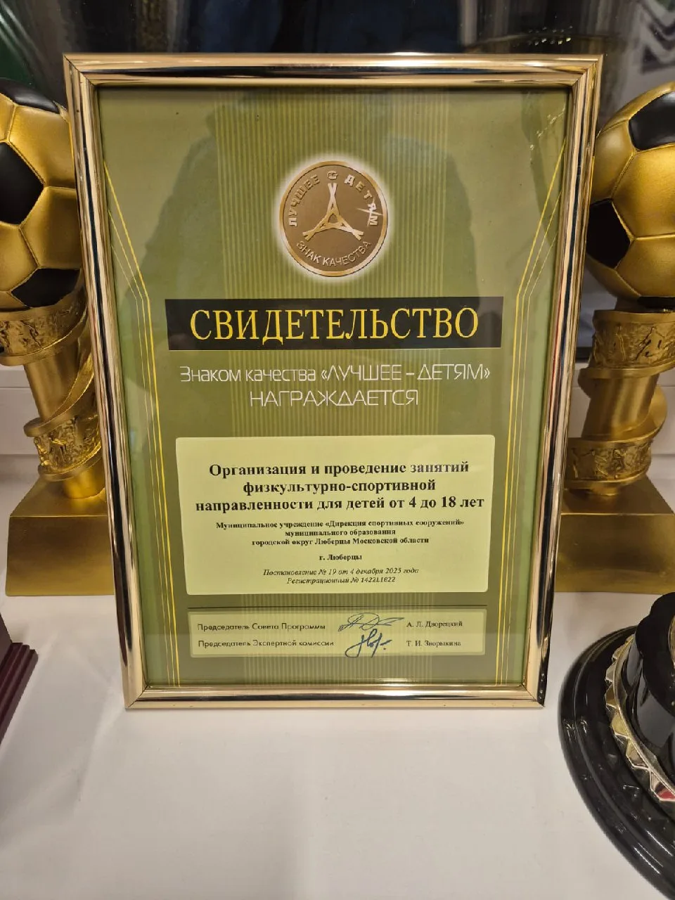 Дирекция спортивных сооружений Люберец отмечена знаком качества конкурса «Лучшее - детям»