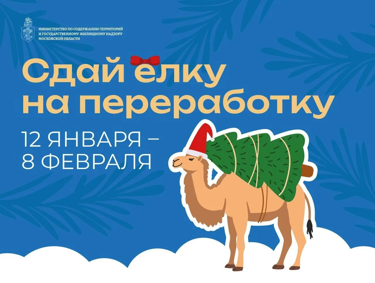 Девять пунктов приема новогодних елок на вторичную переработку организовали в Люберцах