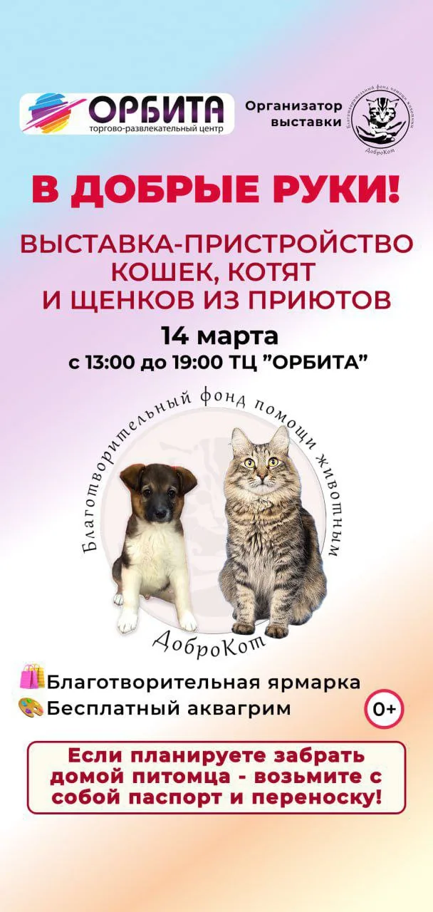 Выставка-пристройство животных из приютов пройдет в Люберцах 14 марта