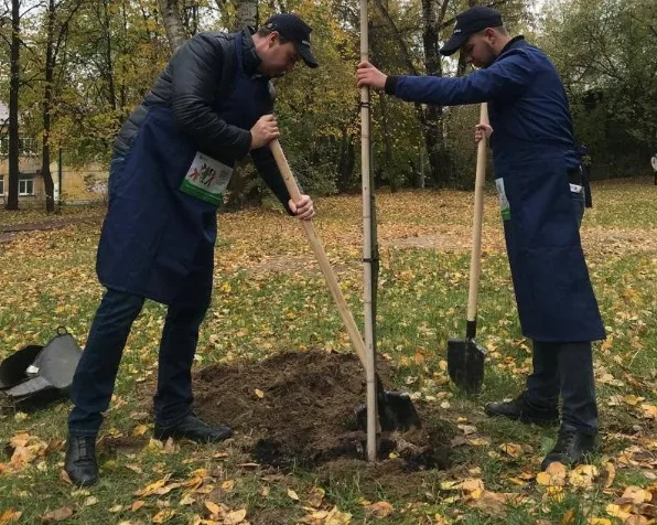 Партийцы высадили саженцы клена во дворе дома по наказам жителей Люберец