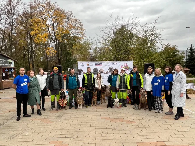 В Люберцах собранный во время благотворительной акции корм передадут животным на Донбасс