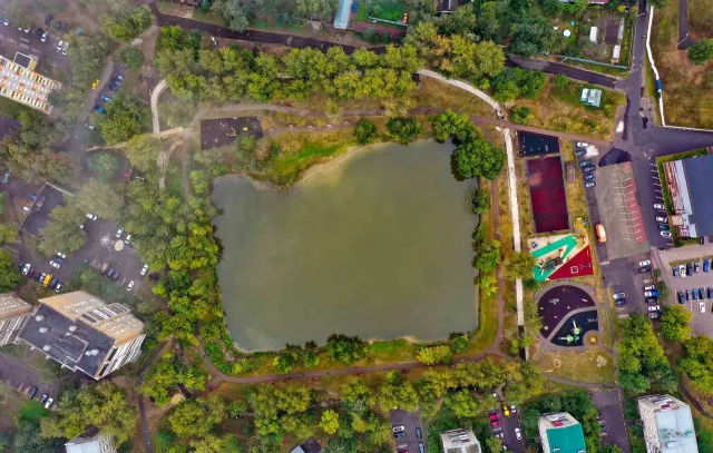 Люберцы вошли в число лидеров по природоохранной работе среди муниципалитетов региона