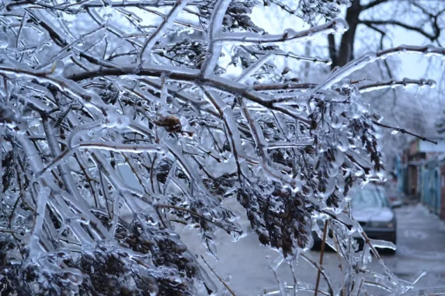 Штормовое предупреждение