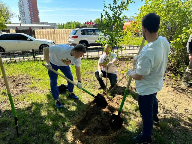 Партийцы Люберец присоединились к акции «Лес Победы»