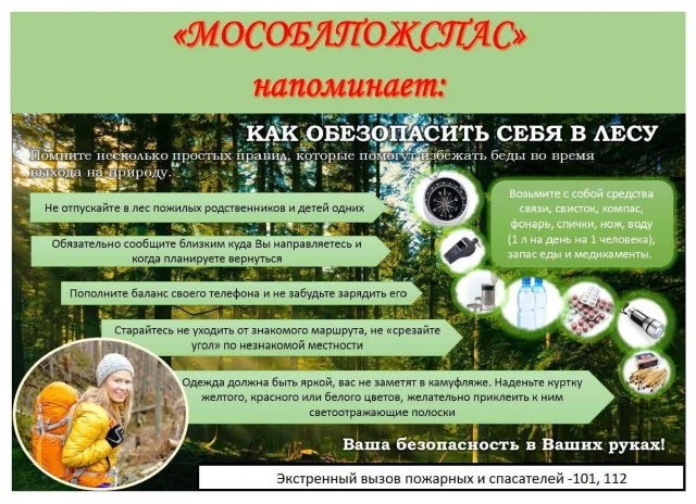 Спасатели рассказали жителям Люберец, как обезопасить себя в лесу