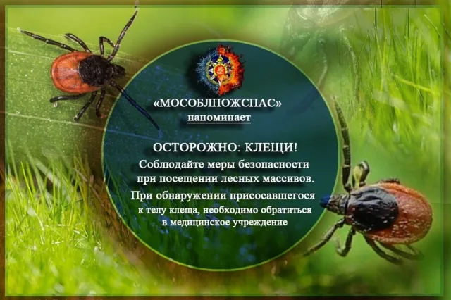 Спасатели рассказали жителям Люберец о способах защиты от клещей