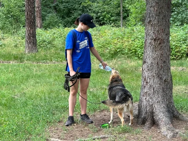 Молодогвардейцы Люберец помогли приюту для бездомных животных