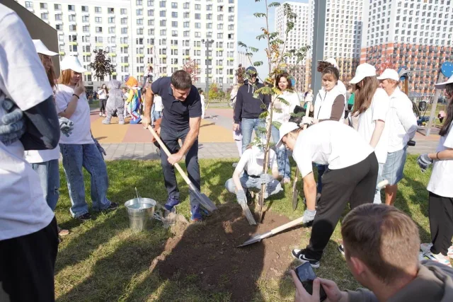 Жители Люберец смогут посадить деревья в рамках акции «День в лесу. Сохраним лес вместе»