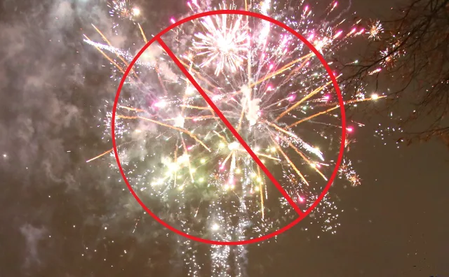 Запрет на использование пиротехники ввели в Люберцах до 8 января 2025 года