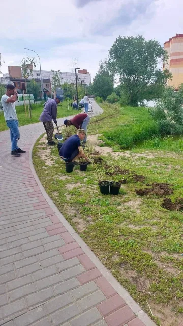 Около 1100 саженцев высадили в поселках Люберец в мае