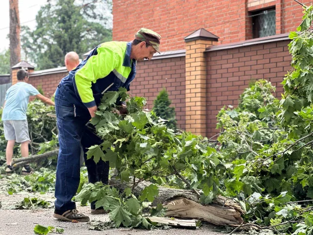 Более 200 поваленных ураганом деревьев убрали в посёлке Люберец