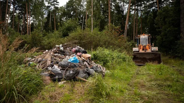 Шесть несанкционированных свалок в лесах Люберец ликвидировали с начала года