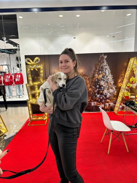 Выставка-пристройство животных из приютов пройдет в Люберцах