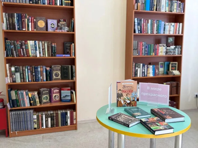 В библиотеках Люберец завершили процесс трансформации книжных фондов